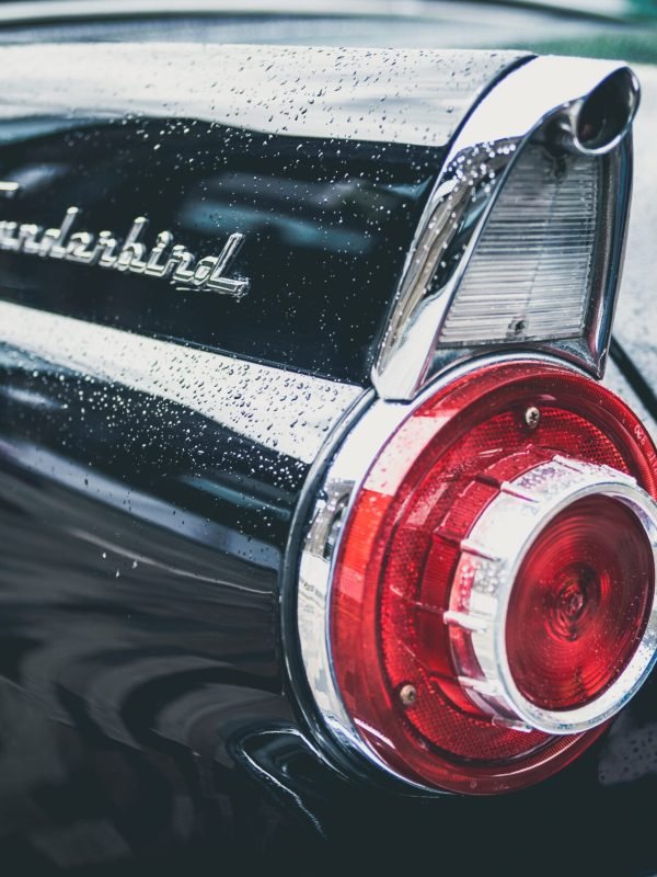thunderbird-1842600